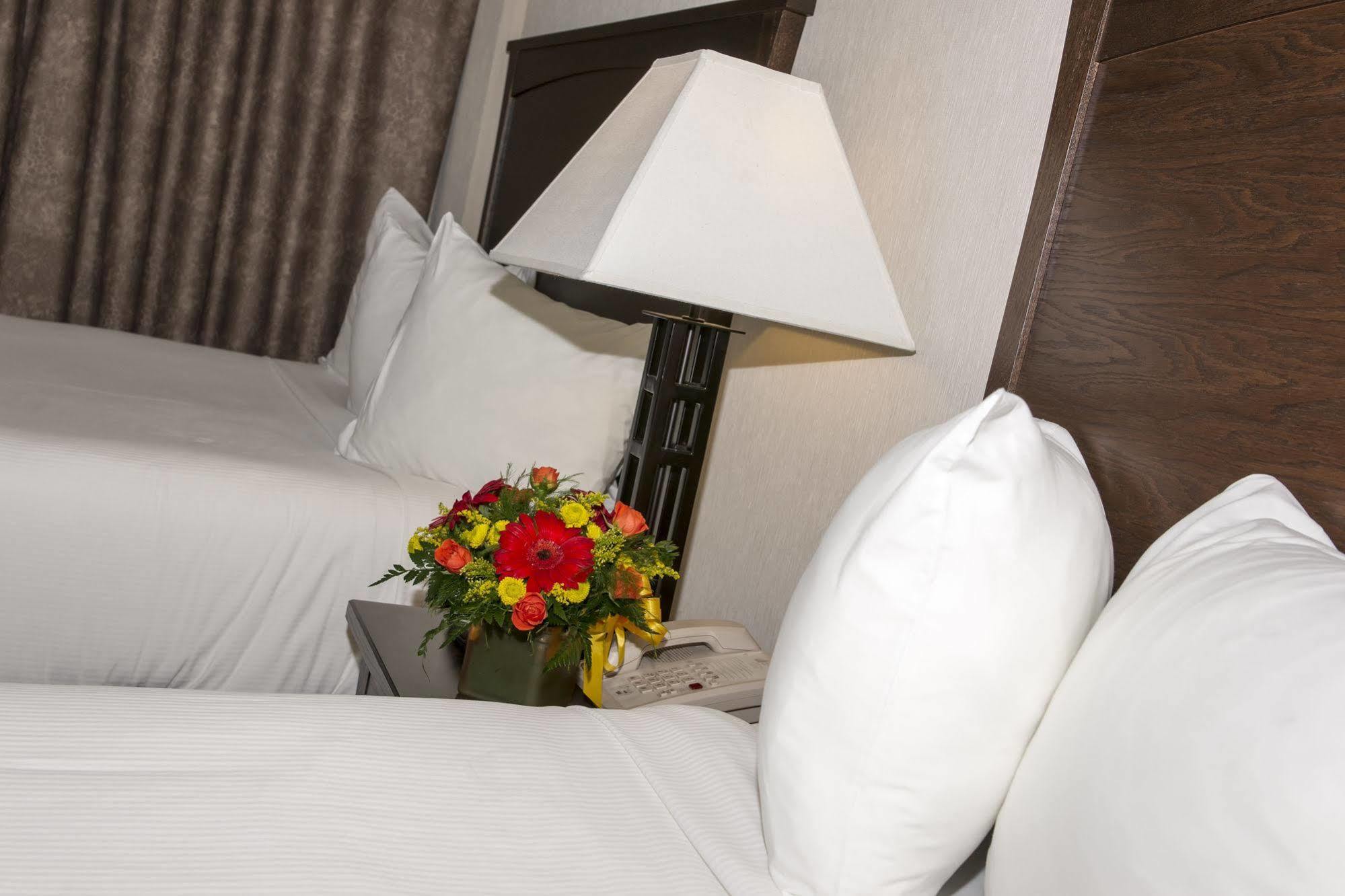 Quality Inn & Suites ילונייף מראה חיצוני תמונה