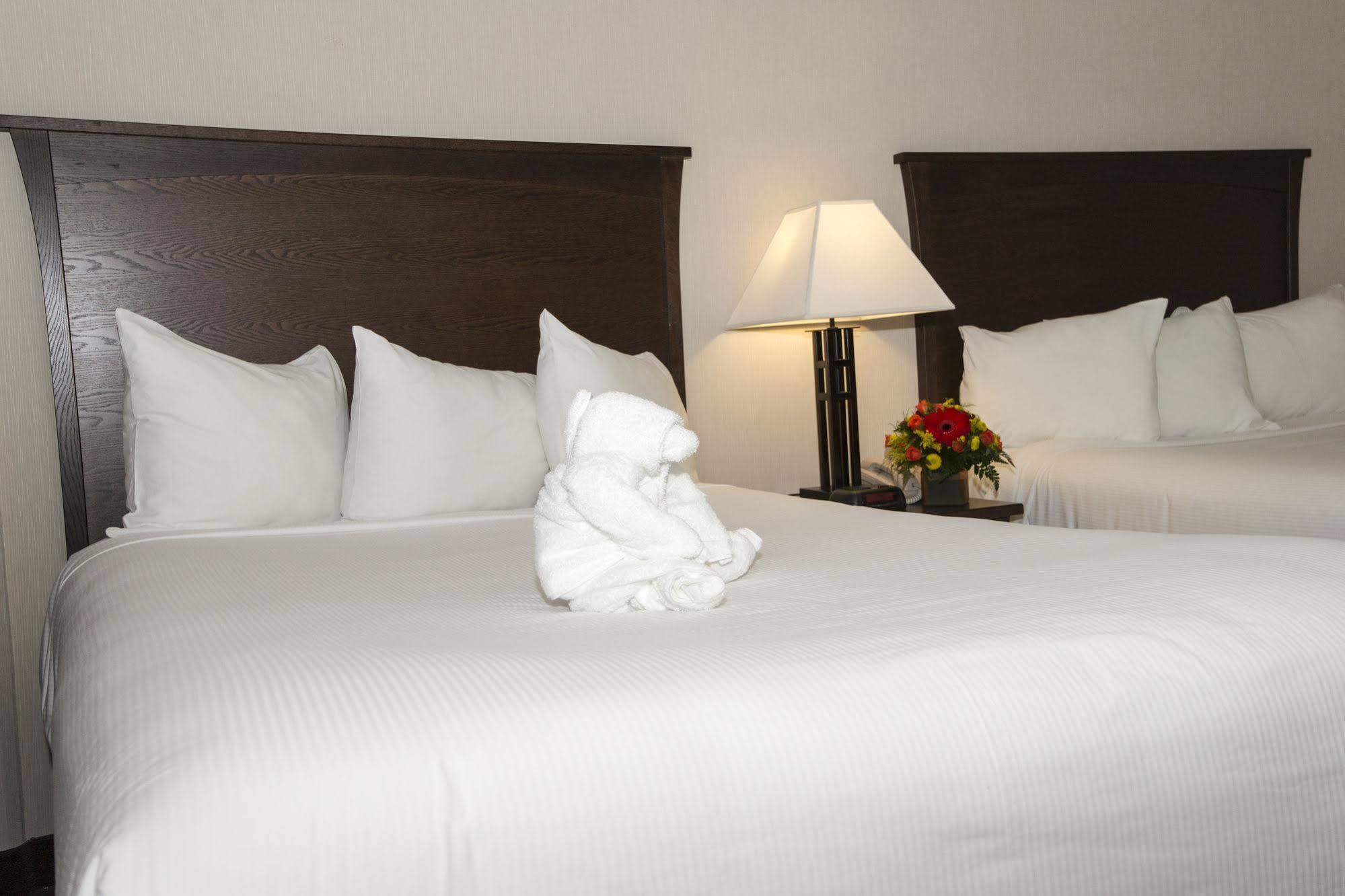 Quality Inn & Suites ילונייף מראה חיצוני תמונה